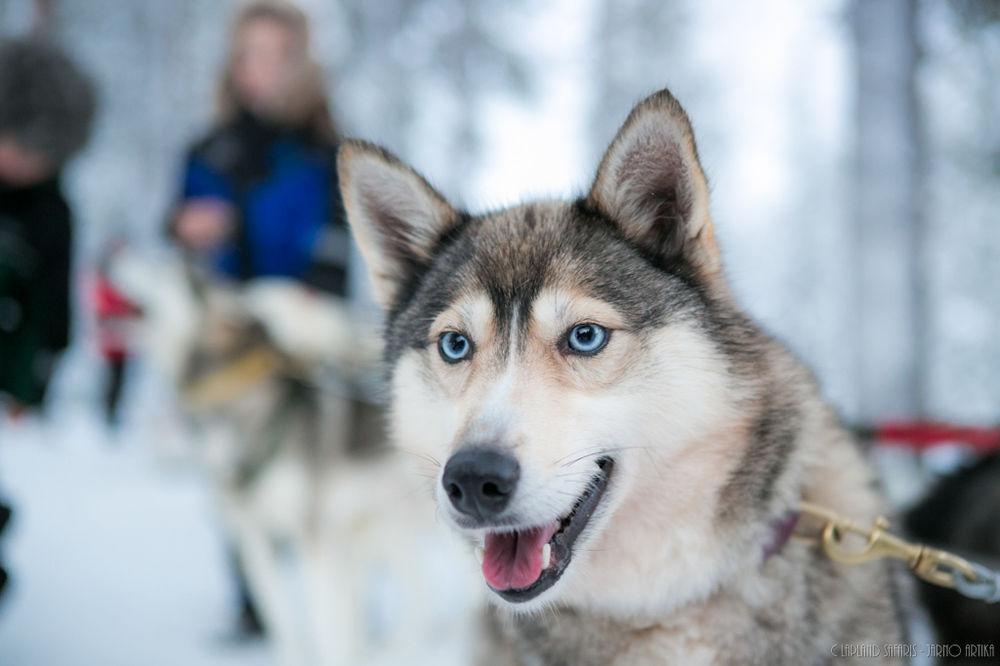 Lapland Hotels Snowvillage Ylläsjärvi エクステリア 写真