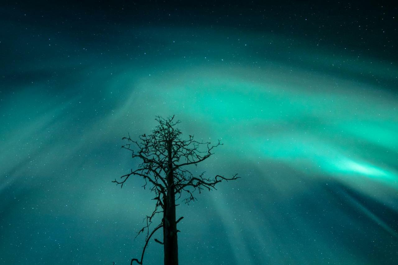 Lapland Hotels Snowvillage Ylläsjärvi エクステリア 写真